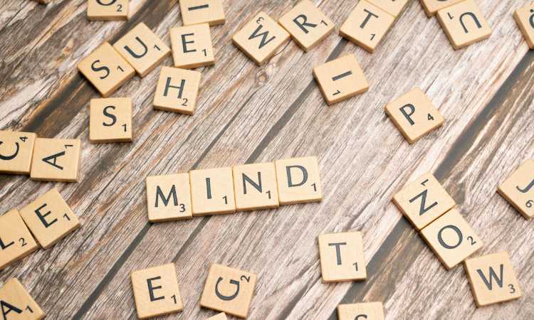 Stress Management & Conscious Living Workshops