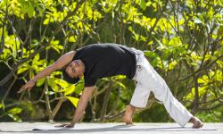 Yoga Pose